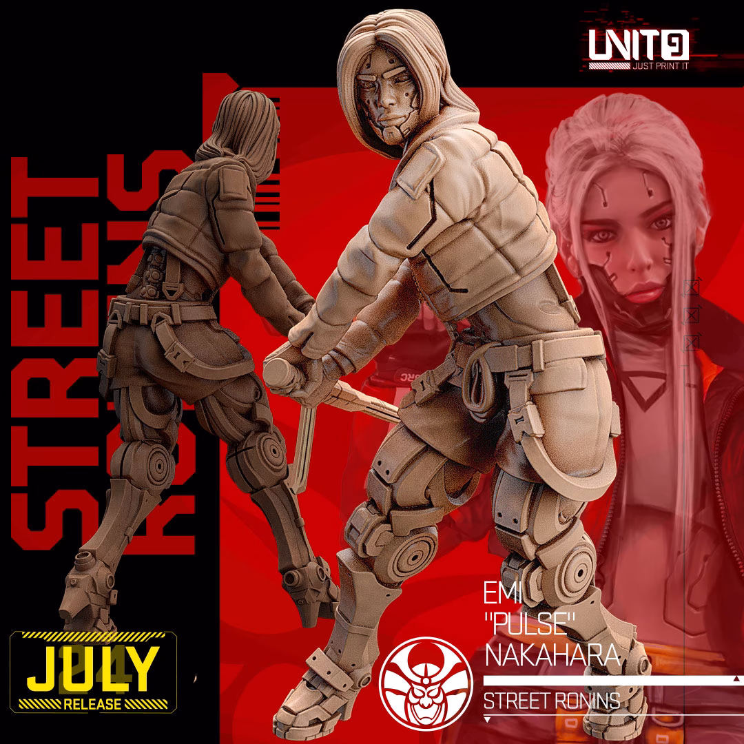 Cyber Ronin PACK - Image 4
