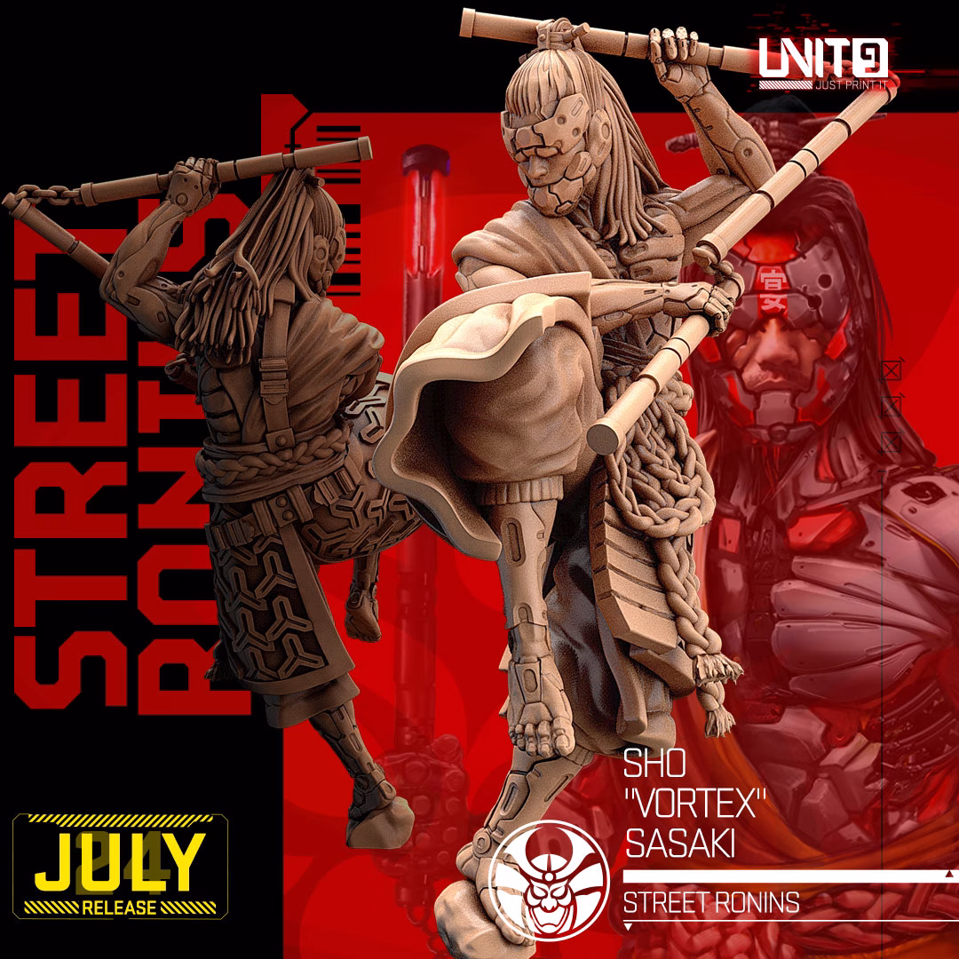 Cyber Ronin PACK - Image 12