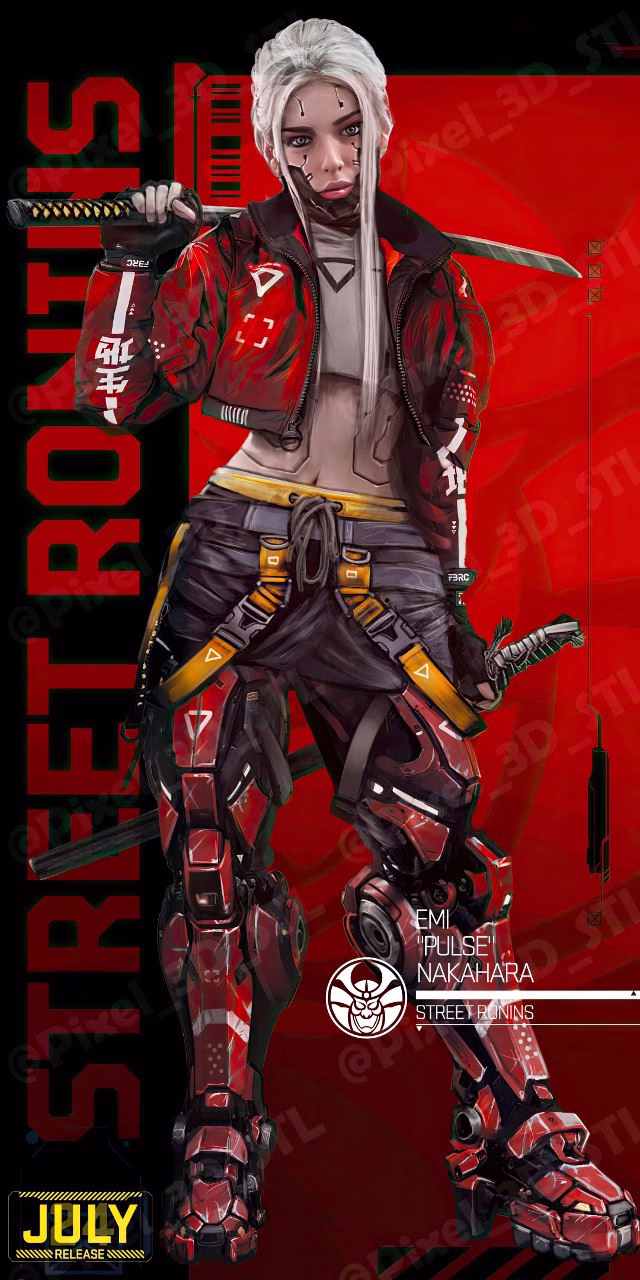 Cyber Ronin PACK - Image 19