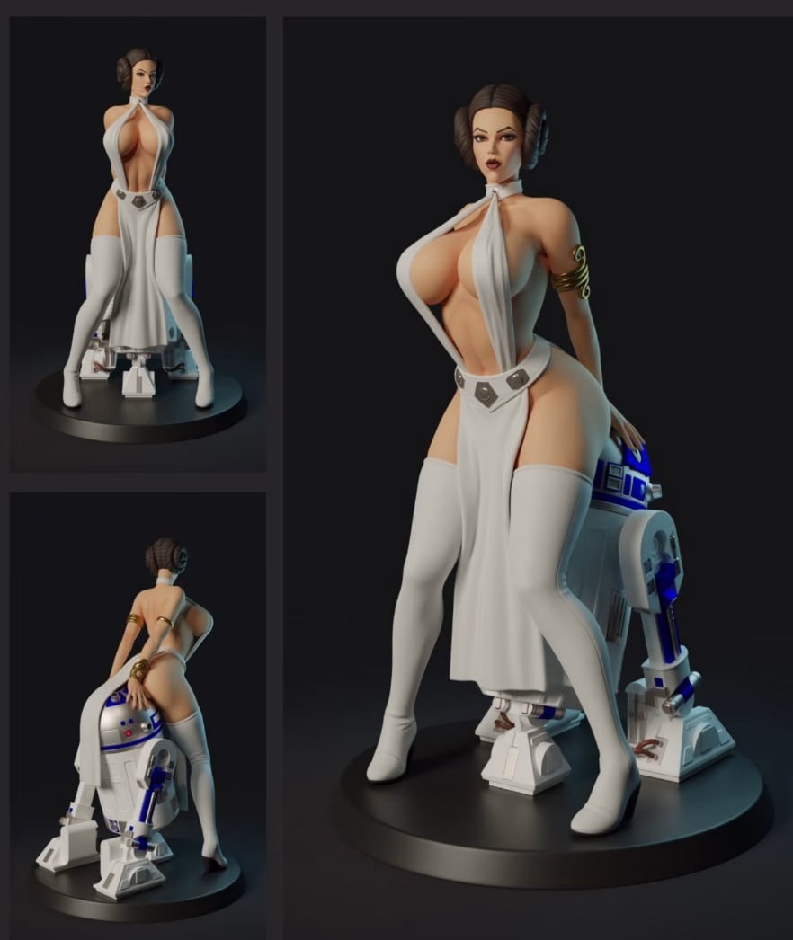 Leia and R2 - Image 2
