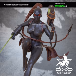 Calli Temple Assassin SFW